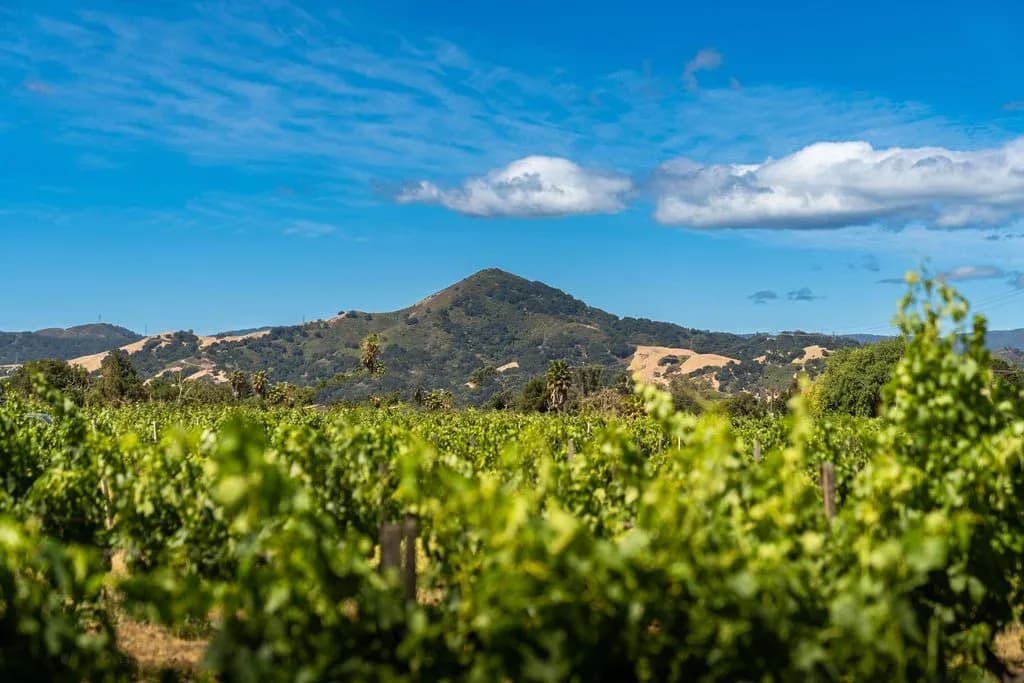 Morgan Hill